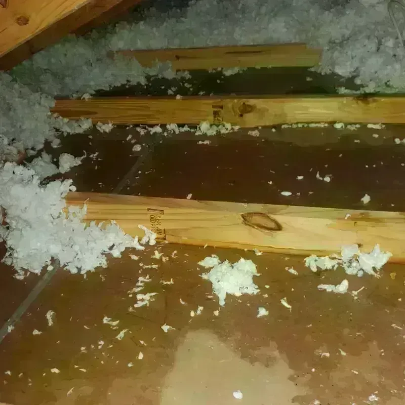 Attic Water Damage in Macon County, NC